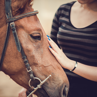 AdobeStock_67353509-small.png